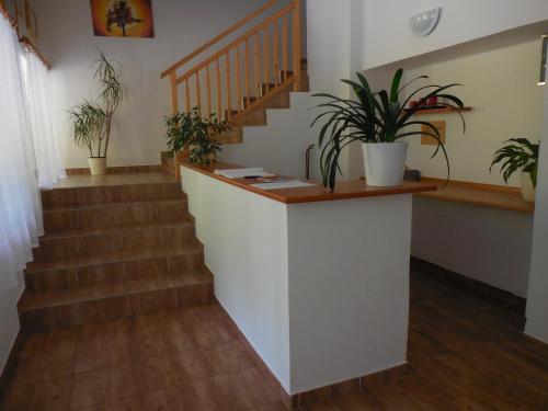 Penzion Tisuvka in Cikhaj