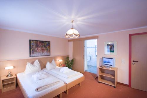 Hotel Aloisia - image 13