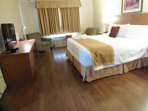 Rosslyn Inn & Suites - image 4