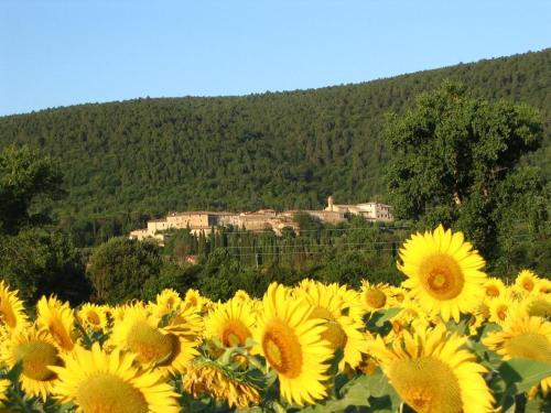  Siena Vecchia Vacanze, Pension in Stigliano bei Frosini