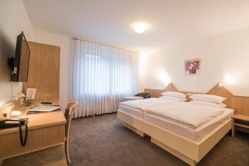 艾瑪瓦森酒店 (Hotel am Wasen) in 內卡河畔弗萊貝爾格