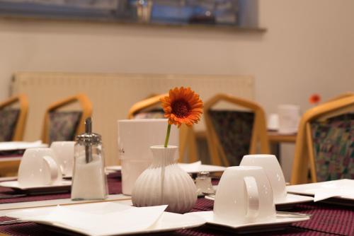 餐飲選擇, 艾瑪瓦森酒店 (Hotel am Wasen) in 內卡河畔弗萊貝爾格