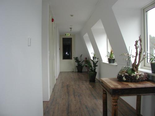 Hotel Studio Bosch Duin Strand - image 2