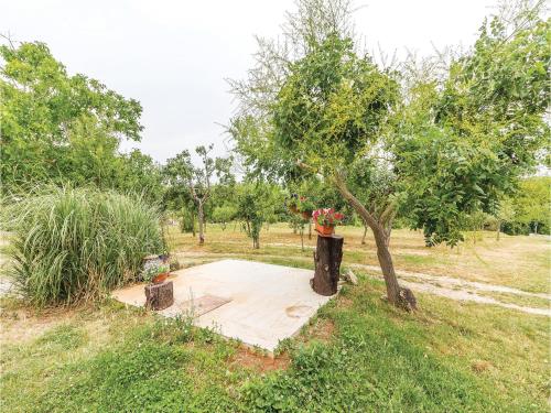  One-Bedroom Apartment in Divsici in Divšići