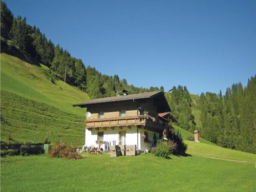 Gemuetliche Ferienwohnung in Mühlbach am Hochkönig