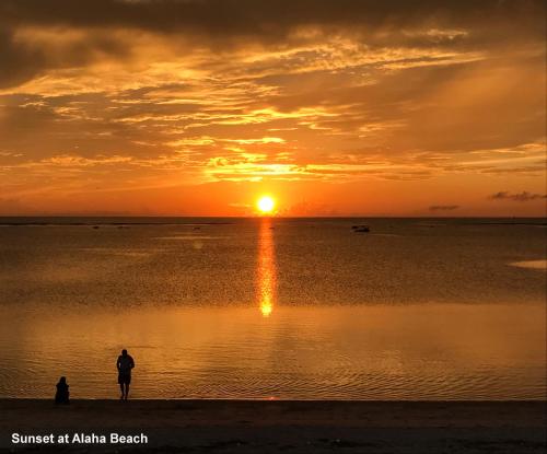 Alosa Inn Okinawa Main island