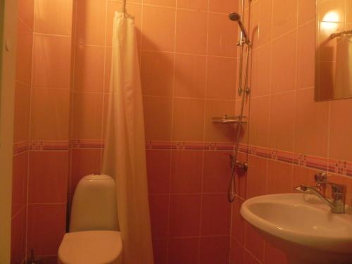 Gostinitsa Mon Plezir - image 5