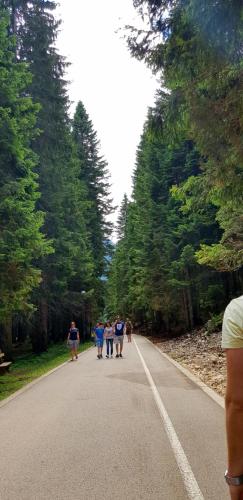 Apartments Popović - image 2