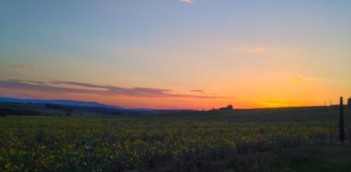 Fontegirasole - a Fontanaro Property