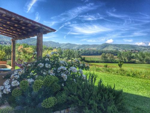  Fontegirasole - a Fontanaro Property in Paciano