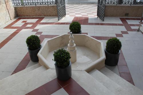 Hotel Villa Maria - image 3