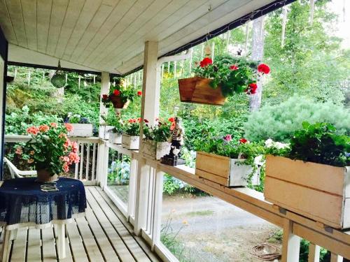 ซีฟาเรอร์ เบด แอนด์ เบรคฟาสต์ (Seafarers Bed & Breakfast) in ทอฟิโน่