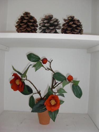 Anne de la Maison Blanche - image 5