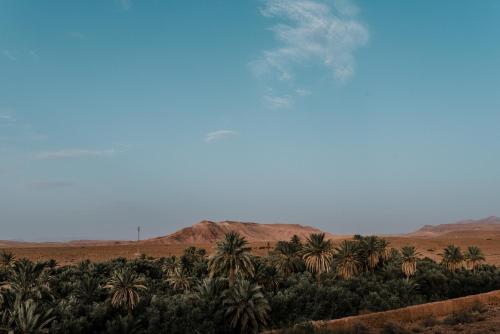 Kasbah Petit Nomade Kasbah Petit Nomade