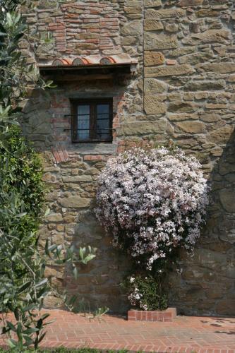 Agriturismo Borgo La Casetta