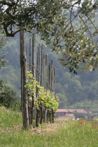 Agriturismo Borgo La Casetta