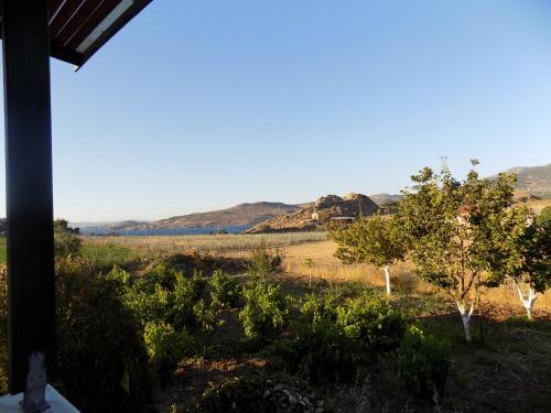  Dimitris Holidays in Anaxos