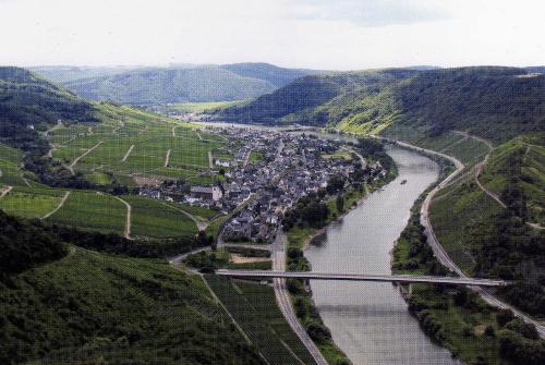 Moselwinzerhaus - image 4