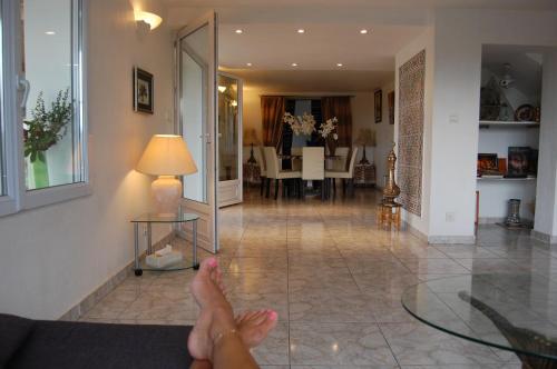 Krogs/atpūtas telpa, Villa Panoramique in Saint-Clair-du-Rhone (Rhone-Alpes)