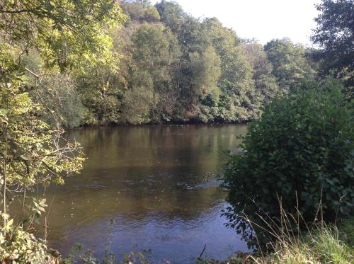 Camping Du Pont De St Gal