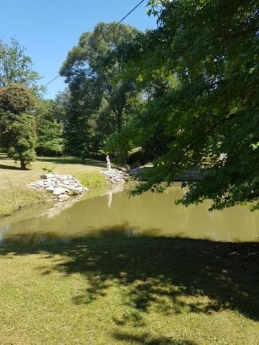 le jardin d Eau - Photo 4