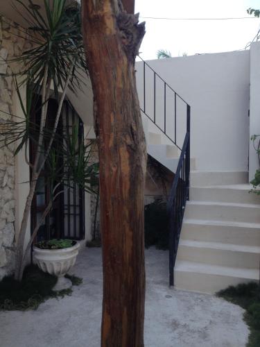 City Center Studyo "Casa Natural" in Candelaria