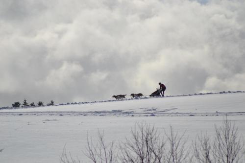 Ferienwohnung Pusteblume