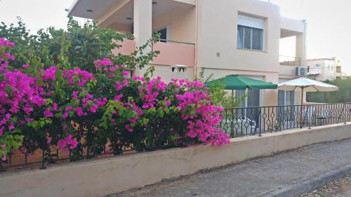  Eucalyptus in Kalathas