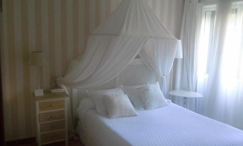 Hotel Central - image 4