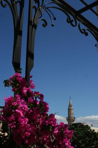 Ionas Boutique Hotel - image 6