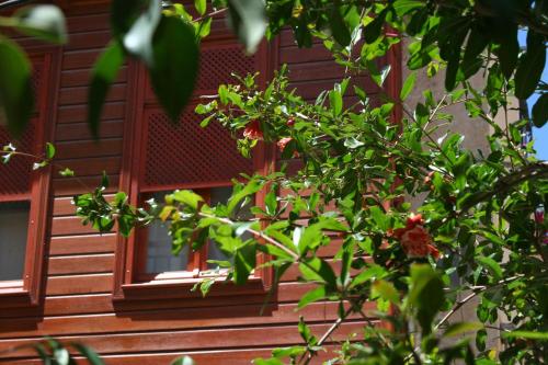 Ionas Boutique Hotel - image 3