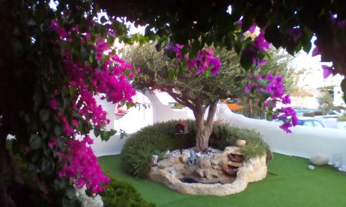 Hidden Heaven - image 10