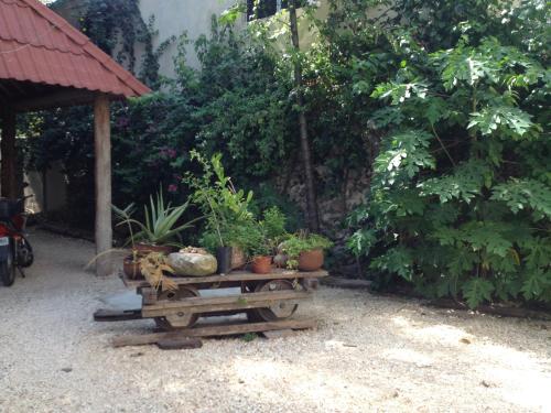 City Center Studyo "Casa Natural" in Candelaria