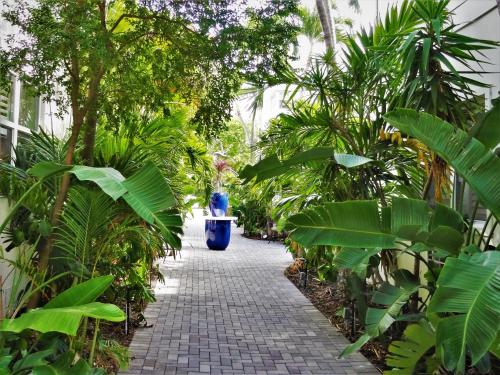 Garden, The Drift Hotel near Fort Lauderdale Beach Park