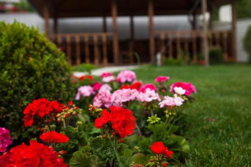 Agoy Guesthouse - image 4