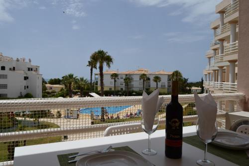 Lovely Estrela Vau Apt - Swimming pool view 5