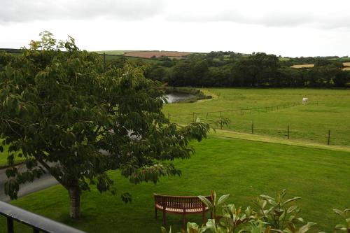 Maple & Beech Barns, Truro (zdjęcie 9)