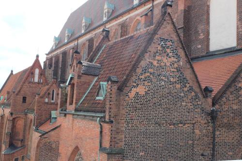 Academus - Cafe/Pub & Guest House - image 10