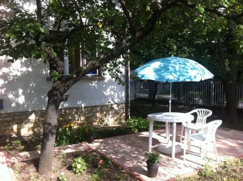 กิจกรรม, Malomtavi Vendeghaz in ทัพโพลค่า