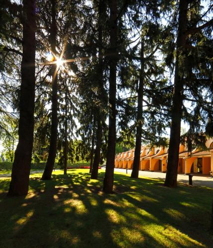 Hotel Pineta