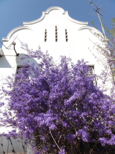 Klein Morgenster B&B