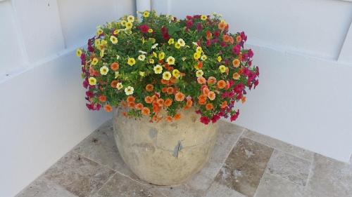 B&B Villa Blanche - image 4