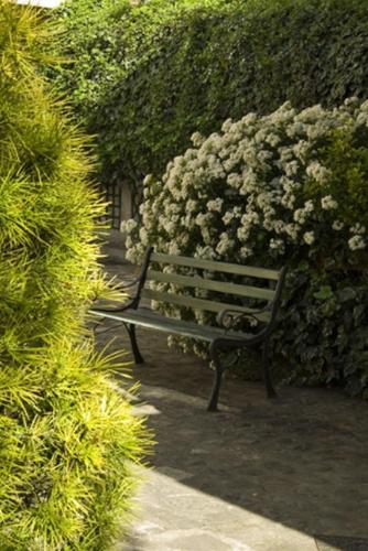 Garden, Residence Chlorophylle in Arcueil