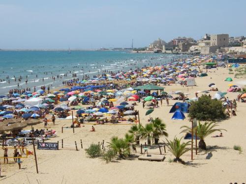 Oasi del Sud - image 3