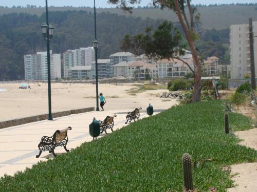 Lomas 3 Bosque y Playa in Zapallar