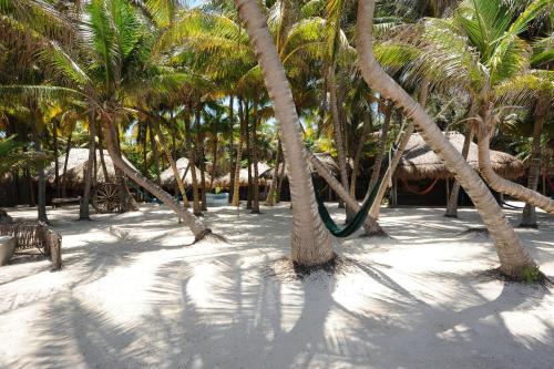 110744600 Zamas Hotel