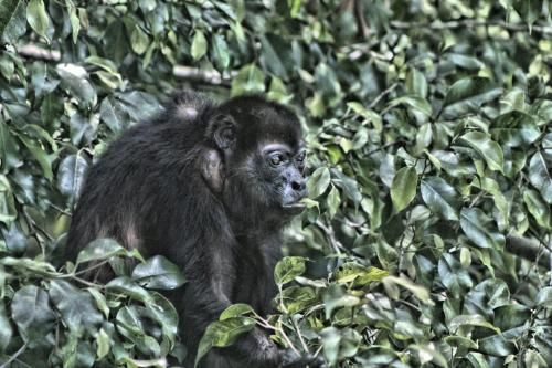 Mosana Reef Garden B&B