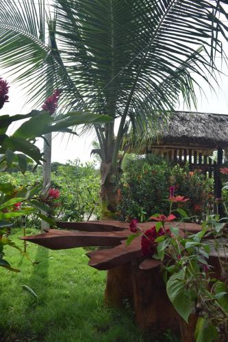 Palomino Breeze Hostal