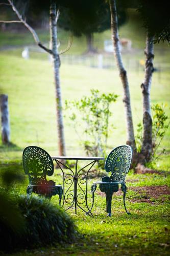 Birdsong Bellingen Farm