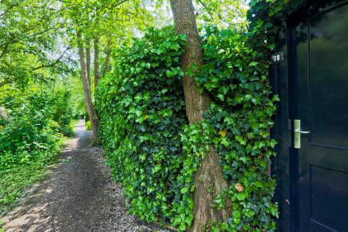 Idyllic Lakehouse - dog is welcome fenced garden